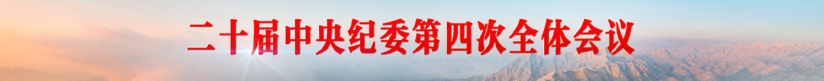 二十届中央纪委第四次全体会议